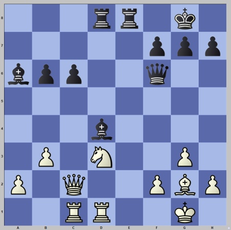 Tata Steel Chess Masters 2023 Trivia