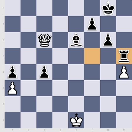 Event: New Delhi Fide Women's Grand Prix : r/chess