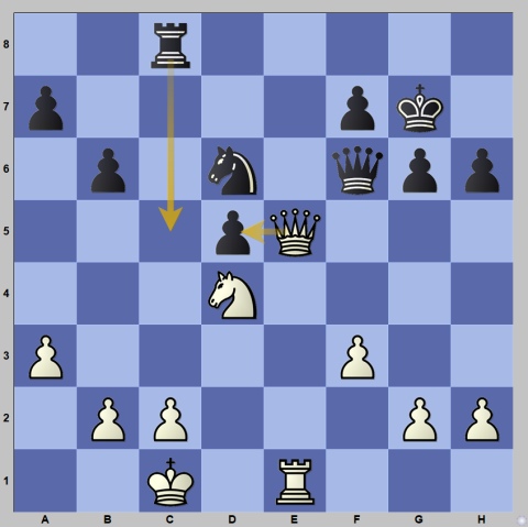 chess24 - Bassem Amin was lost in 13 moves against Magnus