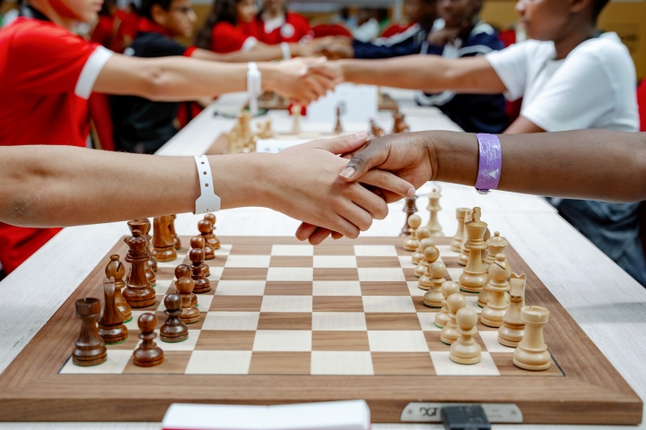 Student wins silver at world chess championship