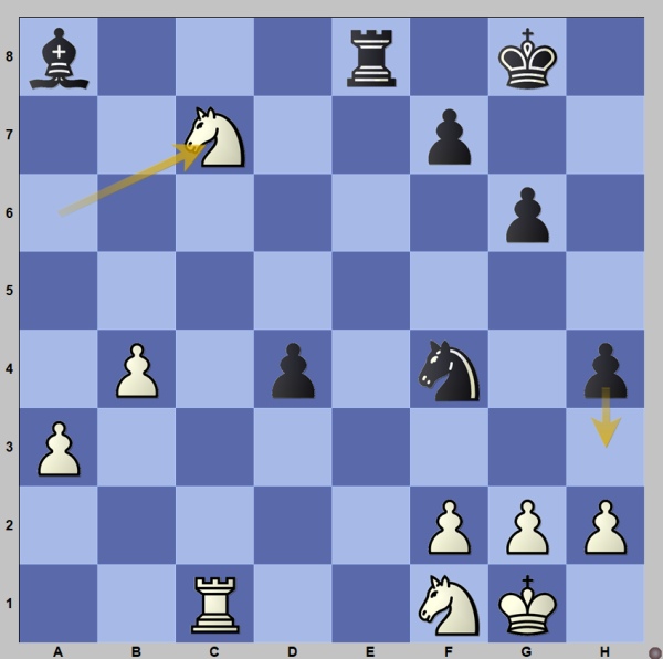 World champion Carlsen blundered into checkmate. How could he have won?