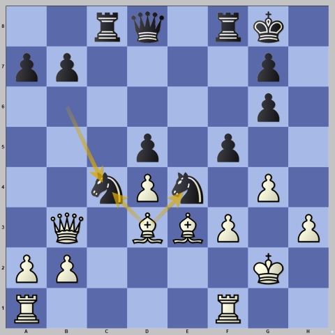 1..b6 Move by Move, PDF, Chess